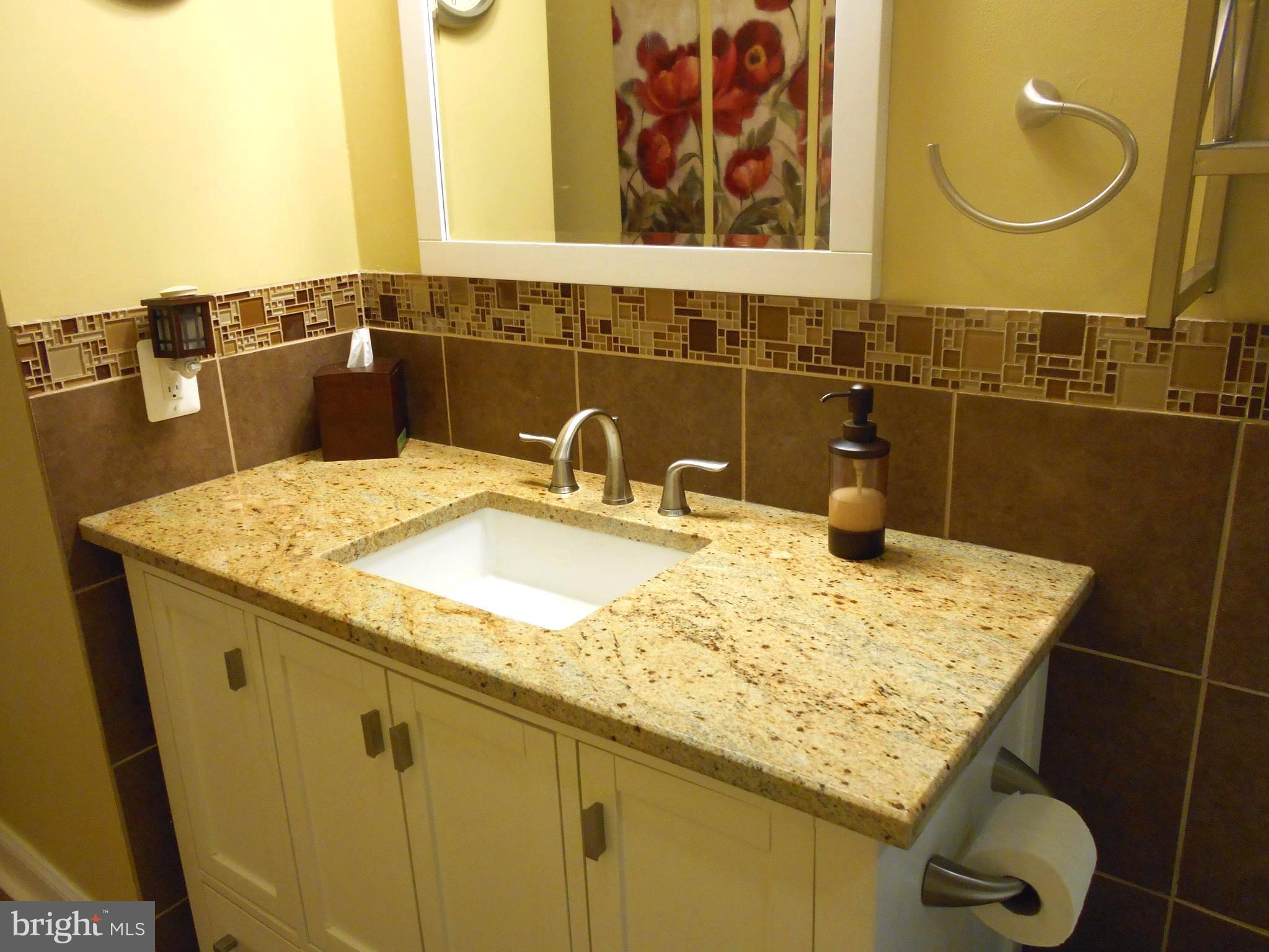 166 Magnolia Road Sterling, VA 20164 - Photo 18 of 28 Bath (Master)