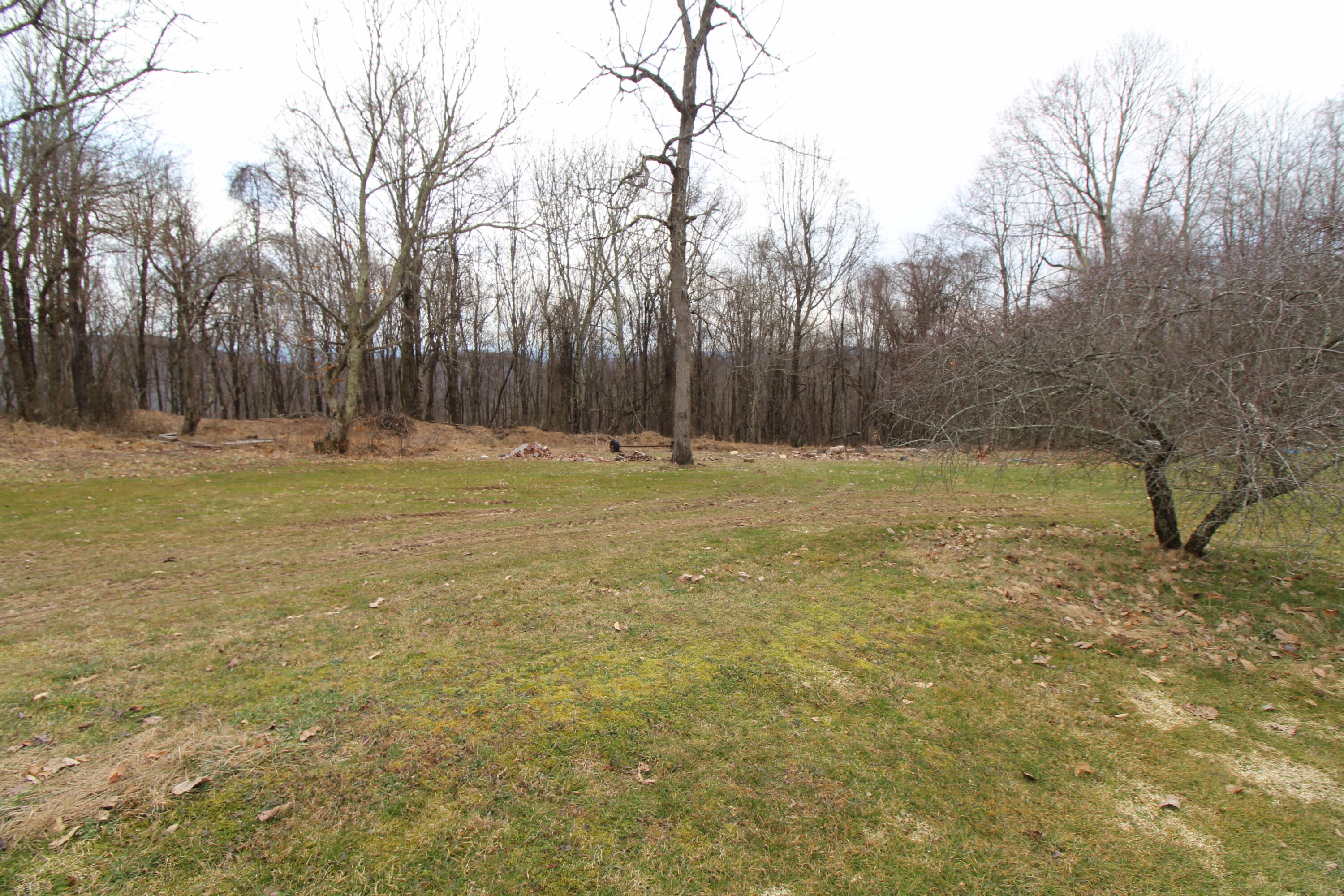 1357 Chestnut Mountain Road Hinton, WV 25951 - Photo 10 of 32 Gallery Image 10