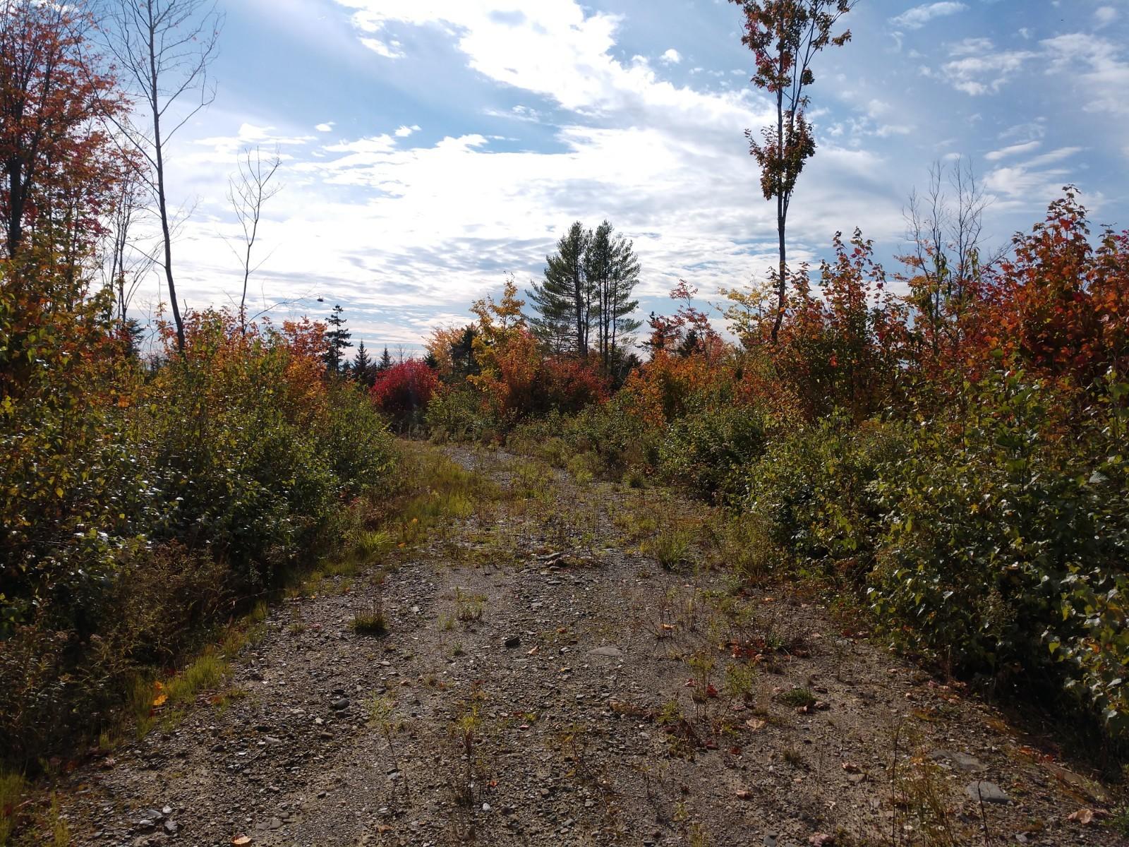 Off Off Rt Road Houlton, ME 04730 - Photo 5 of 8 IMG_20191003_143414595