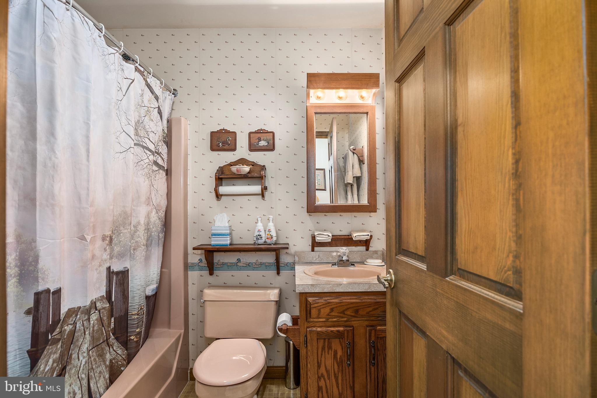 597 Stoney Battery Road Earleville, MD 21919 - Photo 39 of 78 Common Full Bath