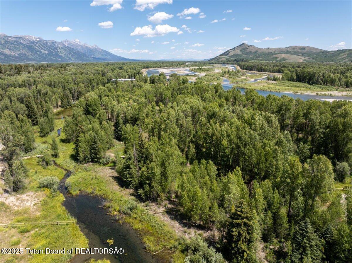 4260 River Springs Drive Wilson, WY 83014 - Photo 9 of 15 Mature Trees + Seasonal Stream