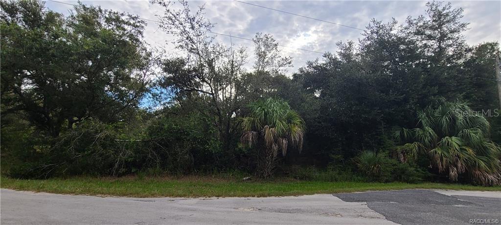 9899 North Marigold Ter