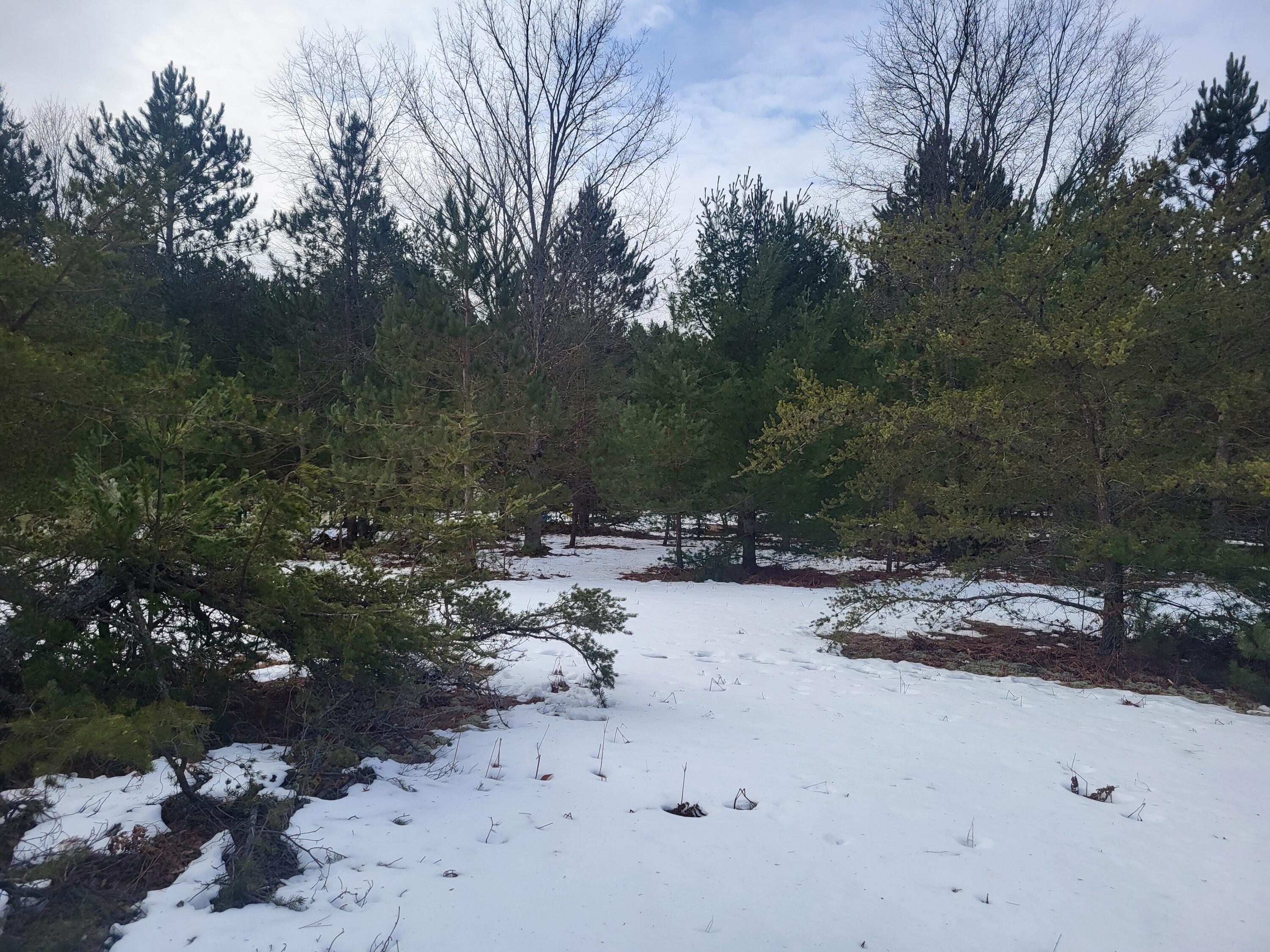 0 Aylsworth Road, Unit 15 Beulah, MI 49617 - Photo 16 of 37 20240212_110054