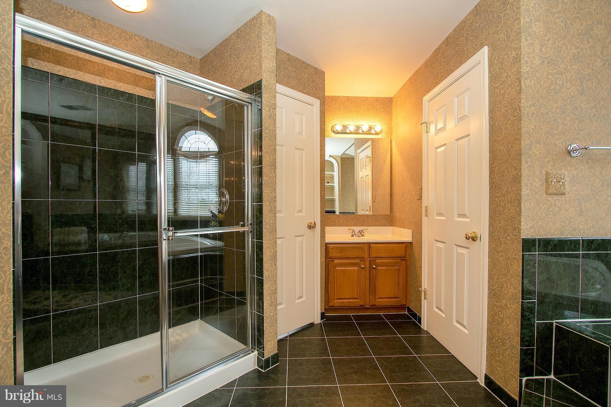 13905 Bromfield Road Germantown, MD 20874 - Photo 18 of 30 Bath (Master)