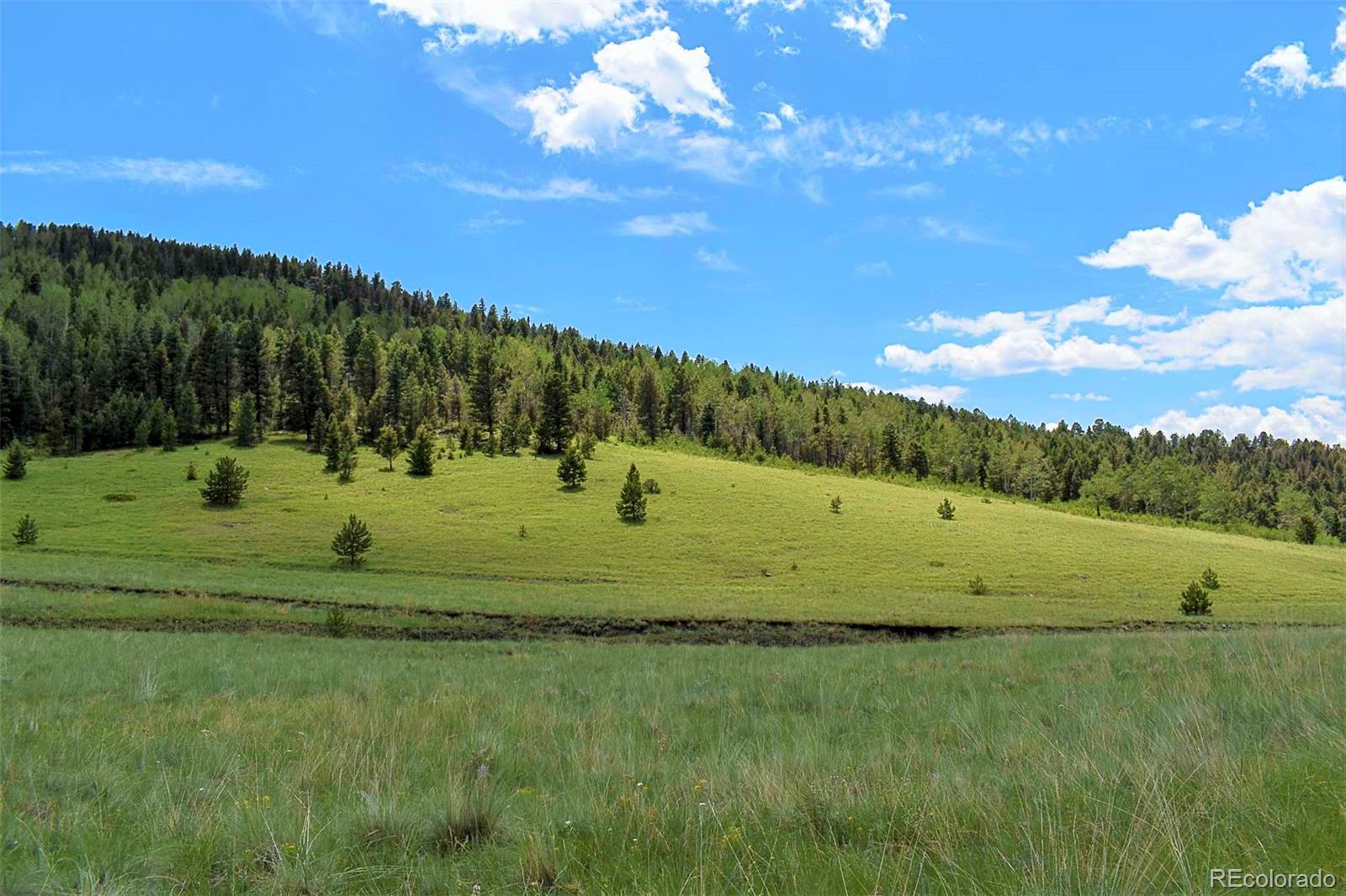462-616 Cover Valley Road Guffey, CO 80820 - Photo 1 of 22 Gallery Image 1