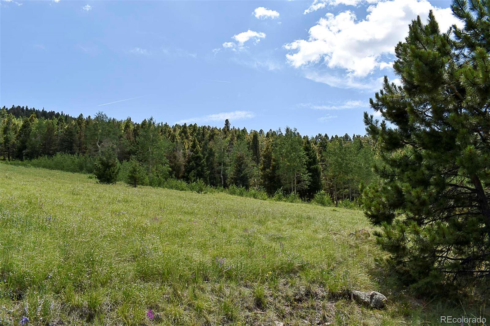 462-616 Cover Valley Road Guffey, CO 80820 - Photo 11 of 22 Gallery Image 11