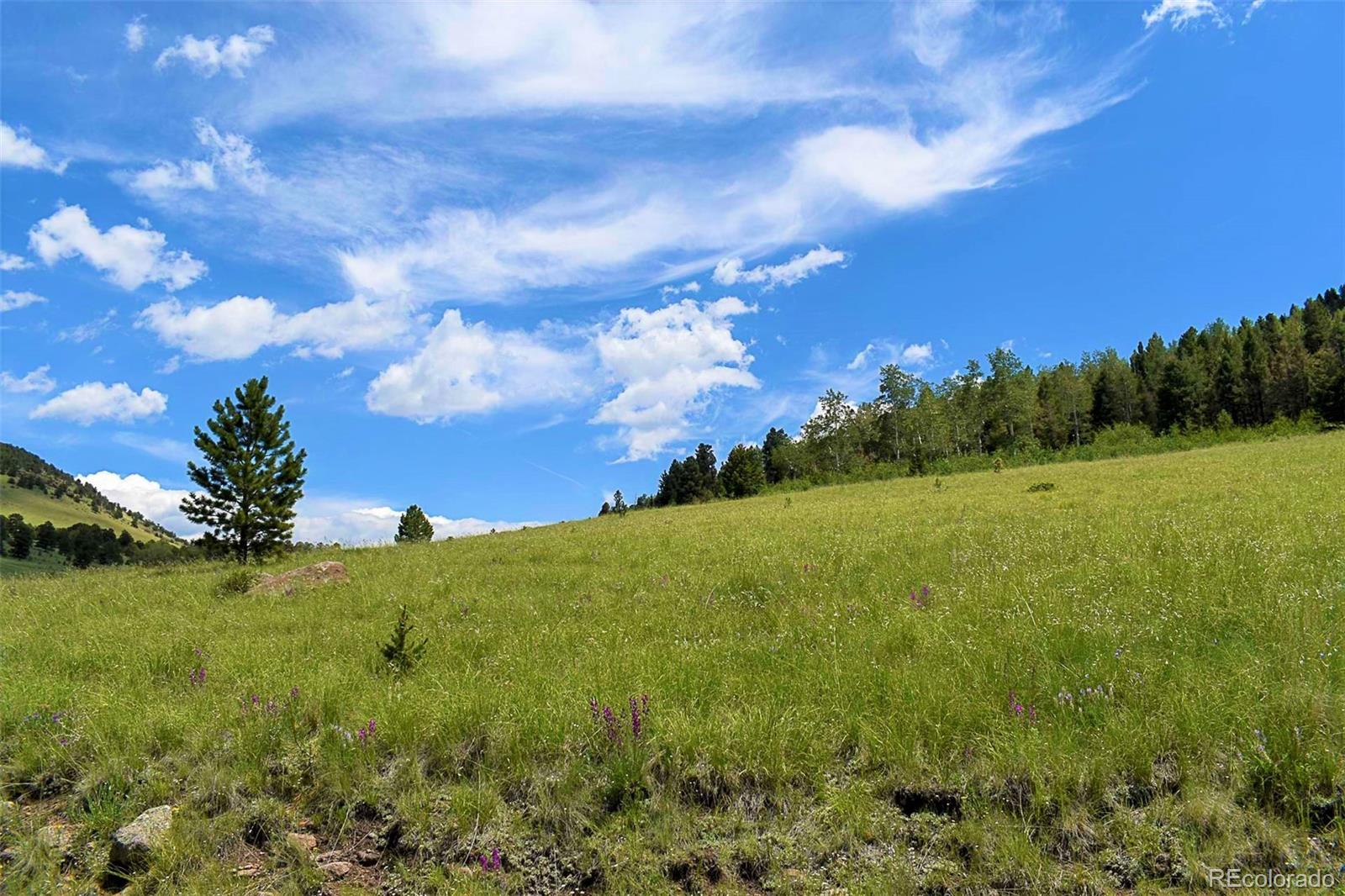 462-616 Cover Valley Road Guffey, CO 80820 - Photo 12 of 22 Gallery Image 12