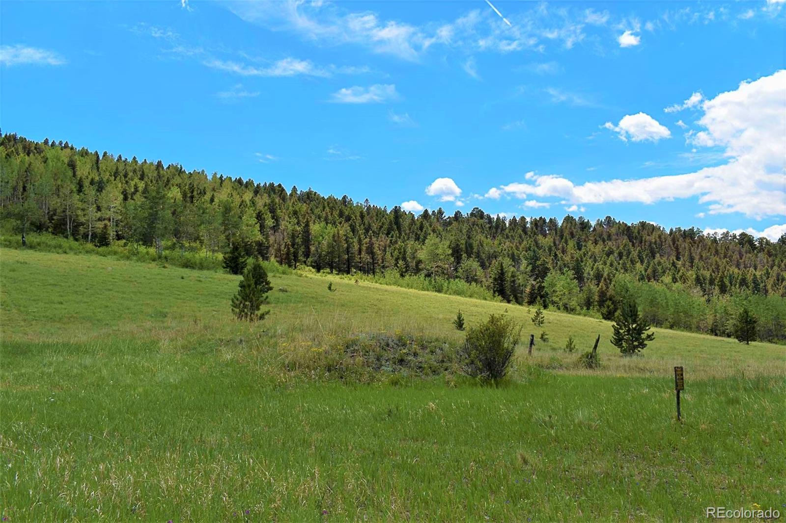 462-616 Cover Valley Road Guffey, CO 80820 - Photo 14 of 22 Gallery Image 14