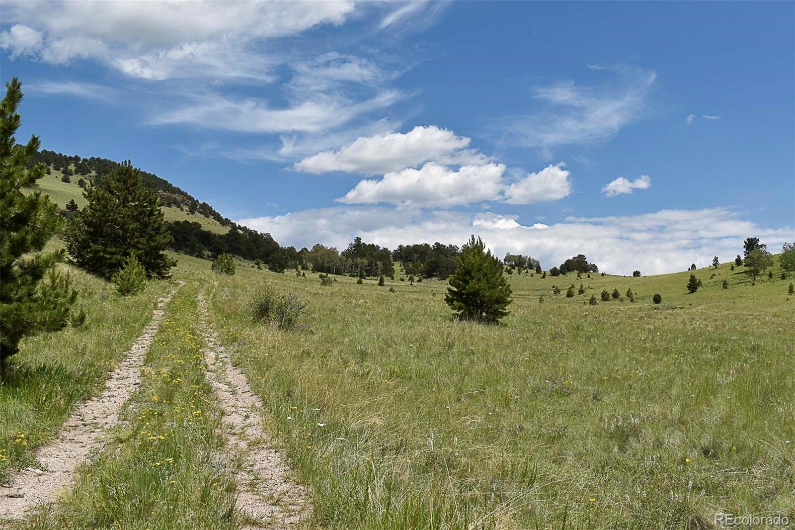 462-616 Cover Valley Road Guffey, CO 80820 - Photo 16 of 22 Gallery Image 16