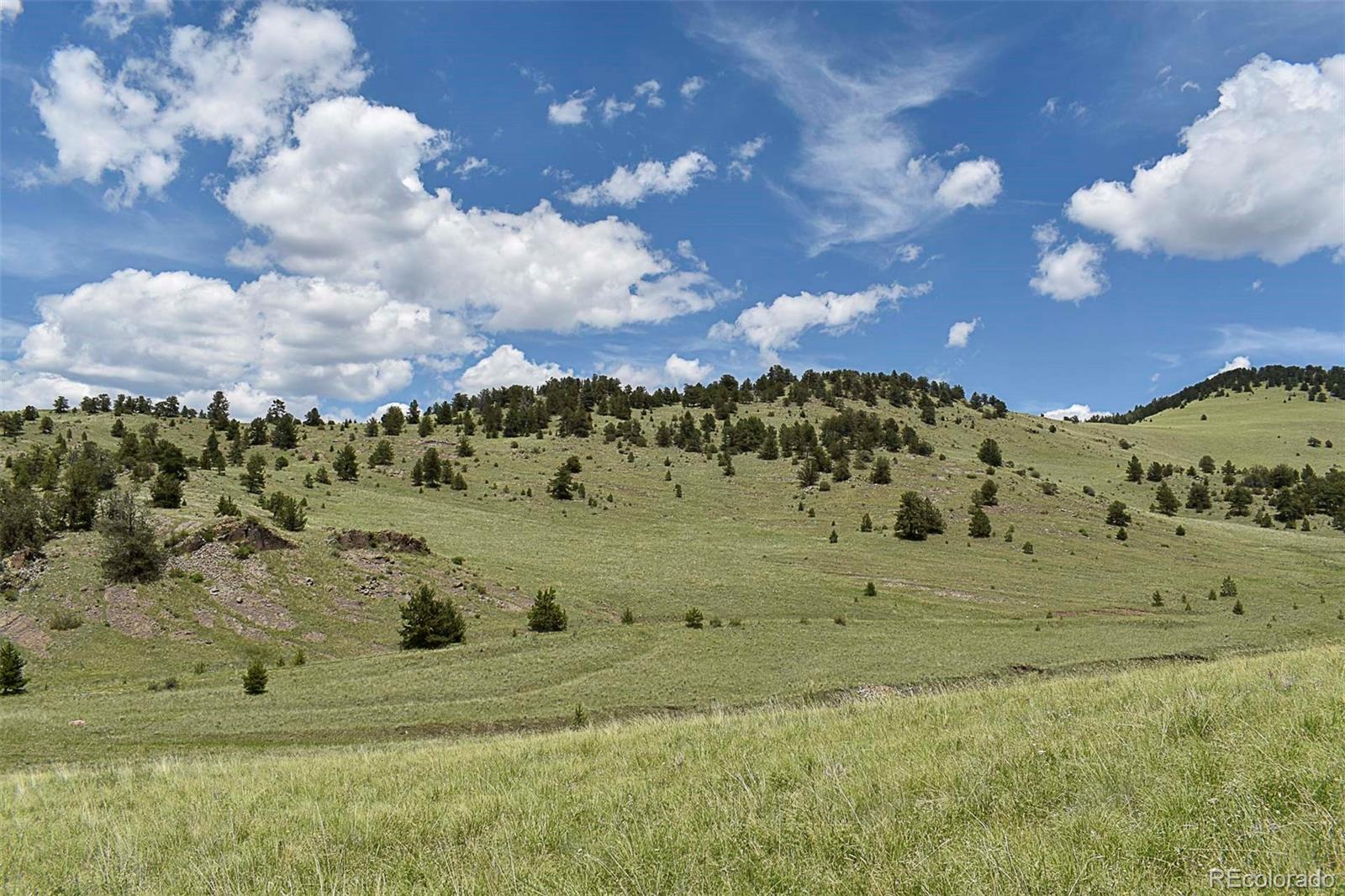 462-616 Cover Valley Road Guffey, CO 80820 - Photo 17 of 22 Gallery Image 17