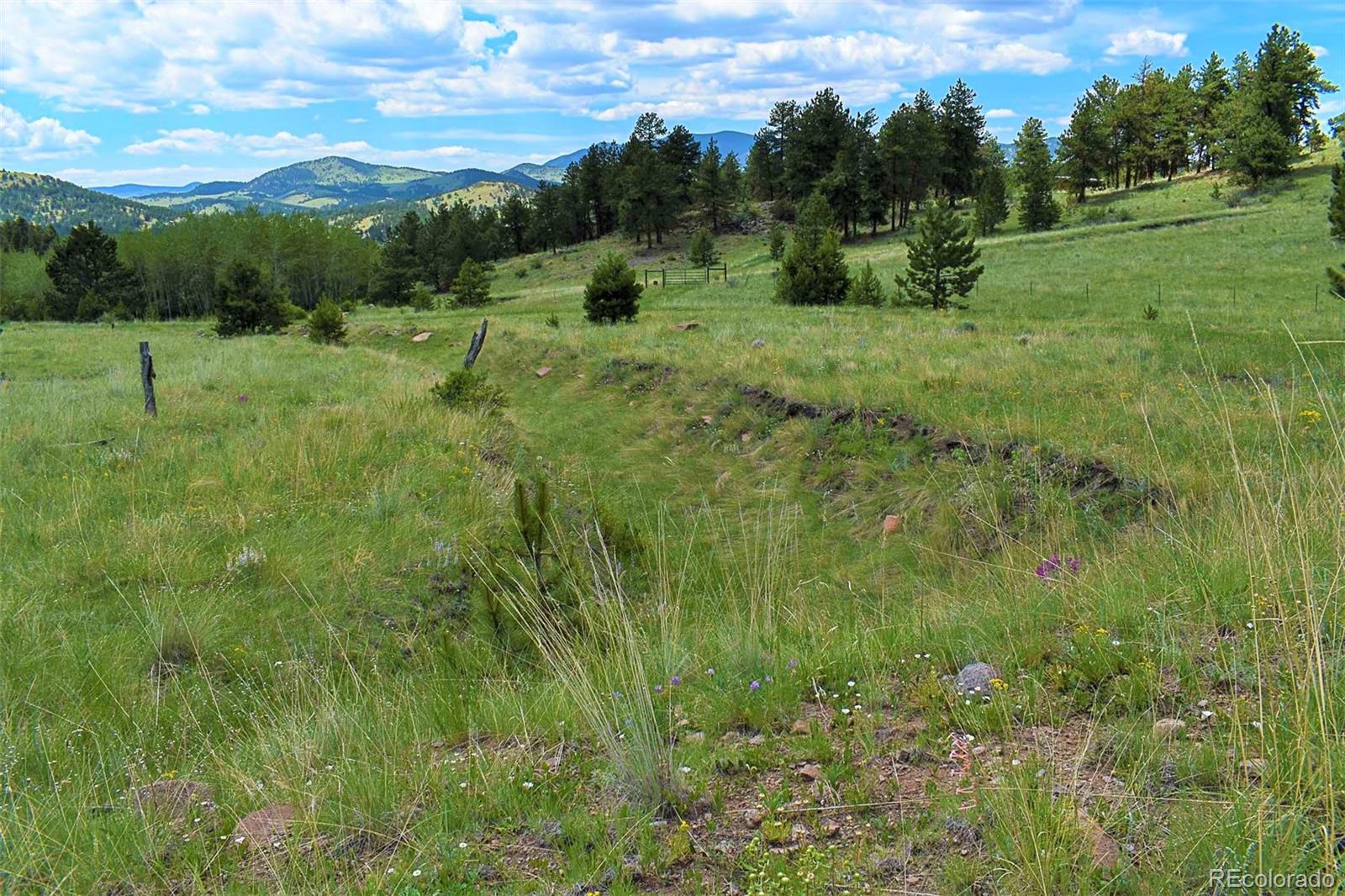 462-616 Cover Valley Road Guffey, CO 80820 - Photo 18 of 22 Gallery Image 18