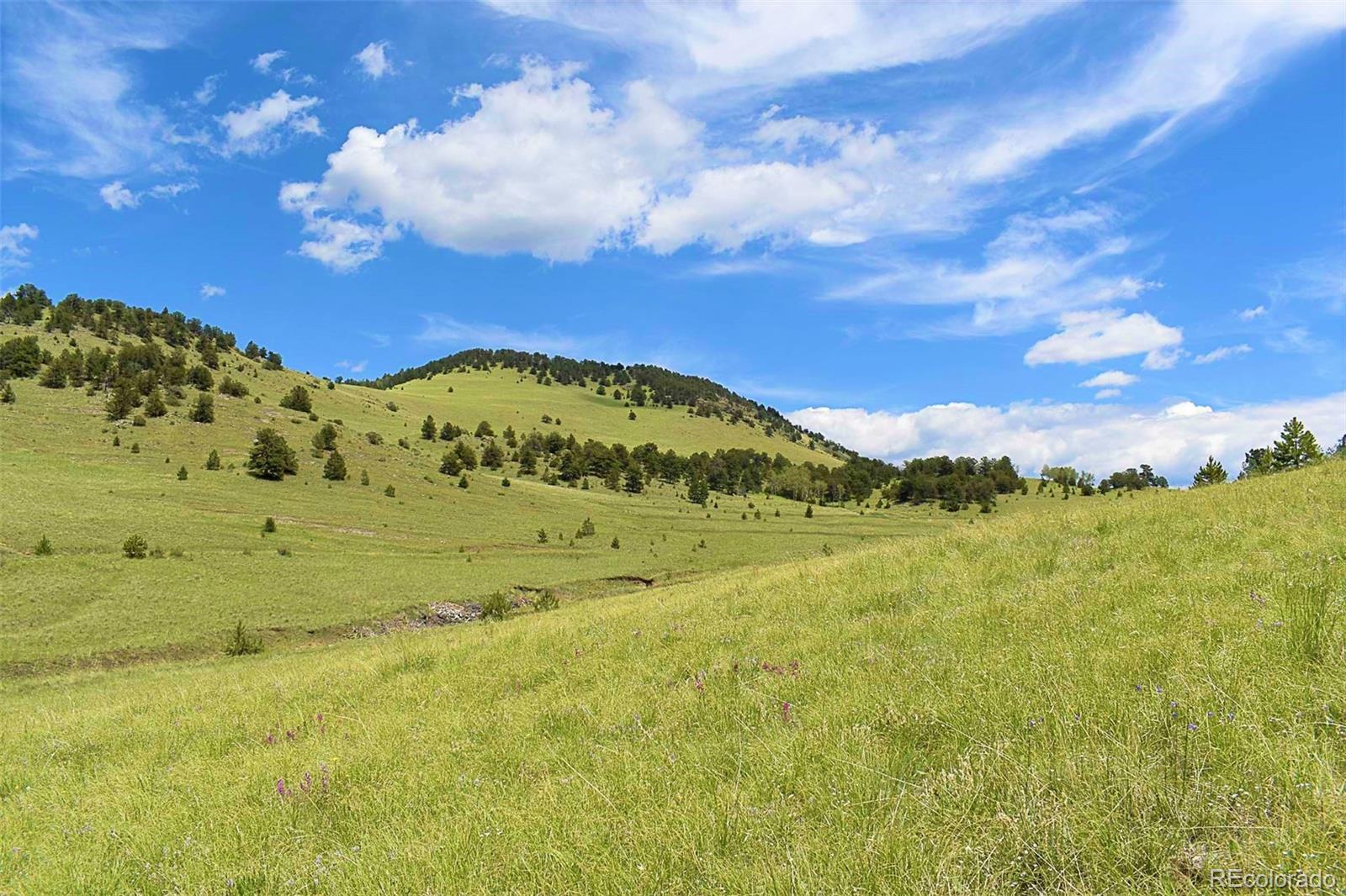 462-616 Cover Valley Road Guffey, CO 80820 - Photo 19 of 22 Gallery Image 19