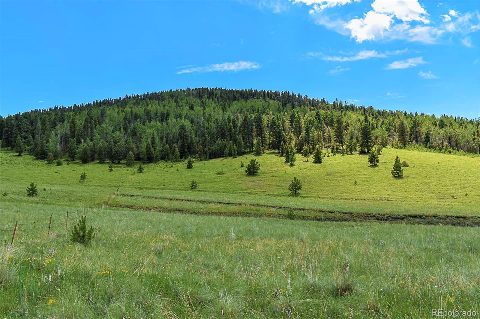 462-616 Cover Valley Road Guffey, CO 80820 - Photo 20 of 22 Gallery Image 20
