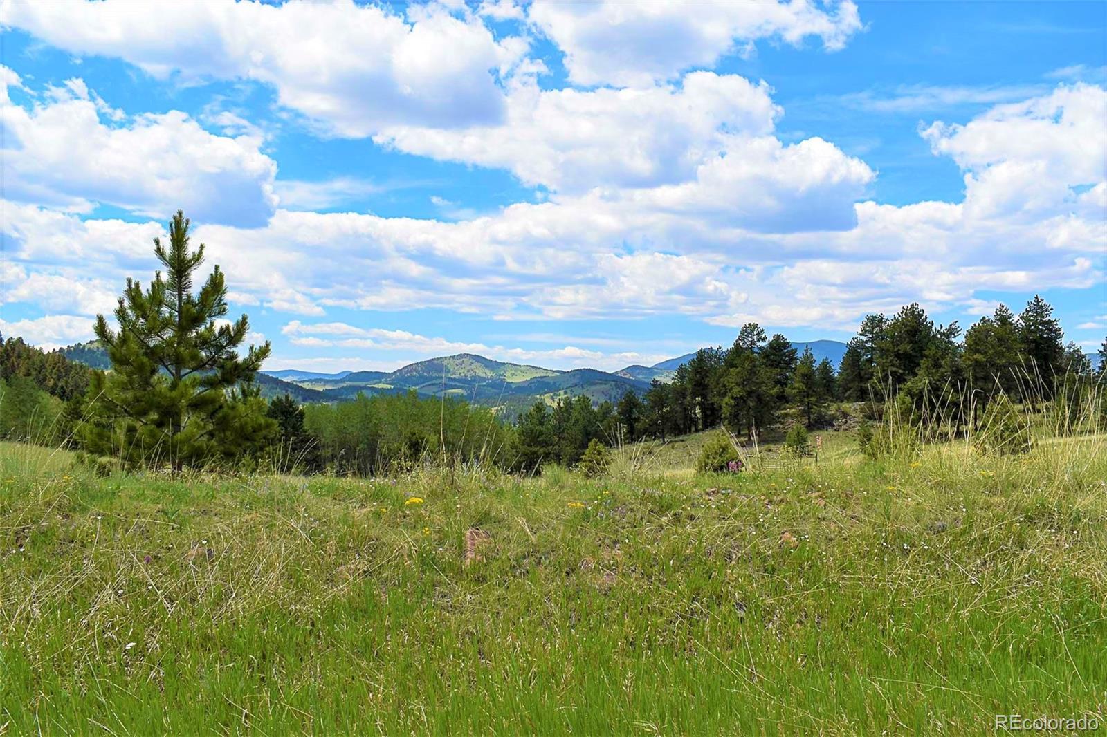 462-616 Cover Valley Road Guffey, CO 80820 - Photo 21 of 22 Gallery Image 21