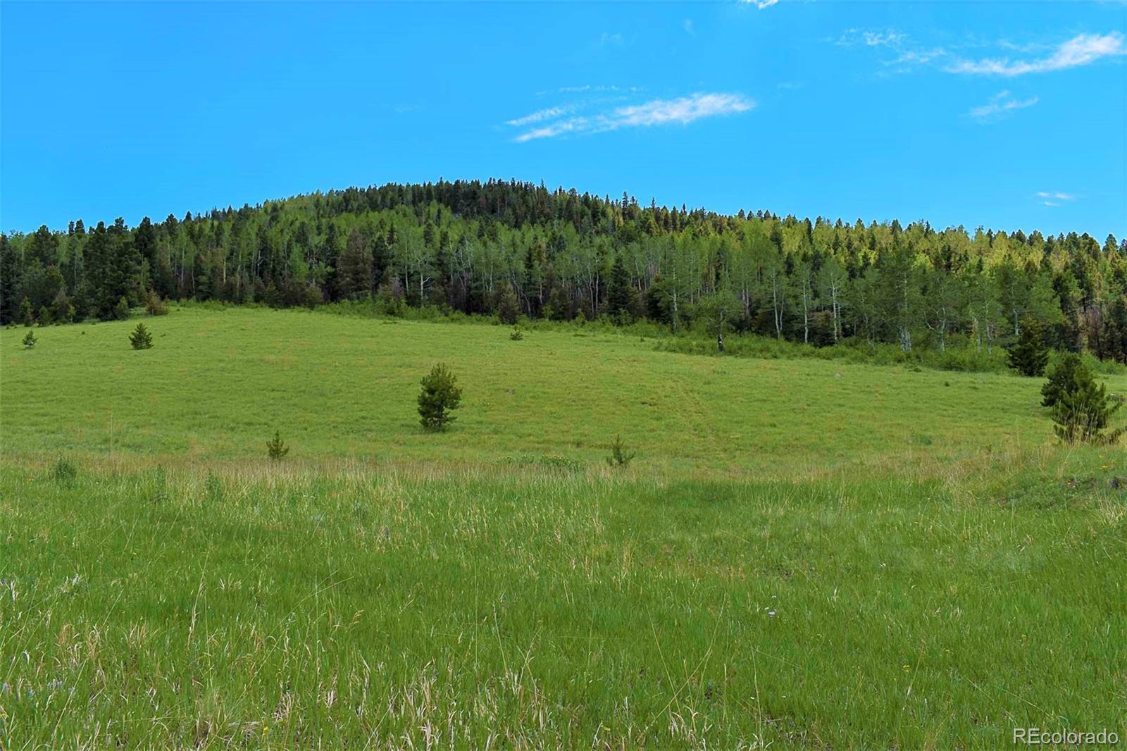 462-616 Cover Valley Road Guffey, CO 80820 - Photo 3 of 22 Gallery Image 3
