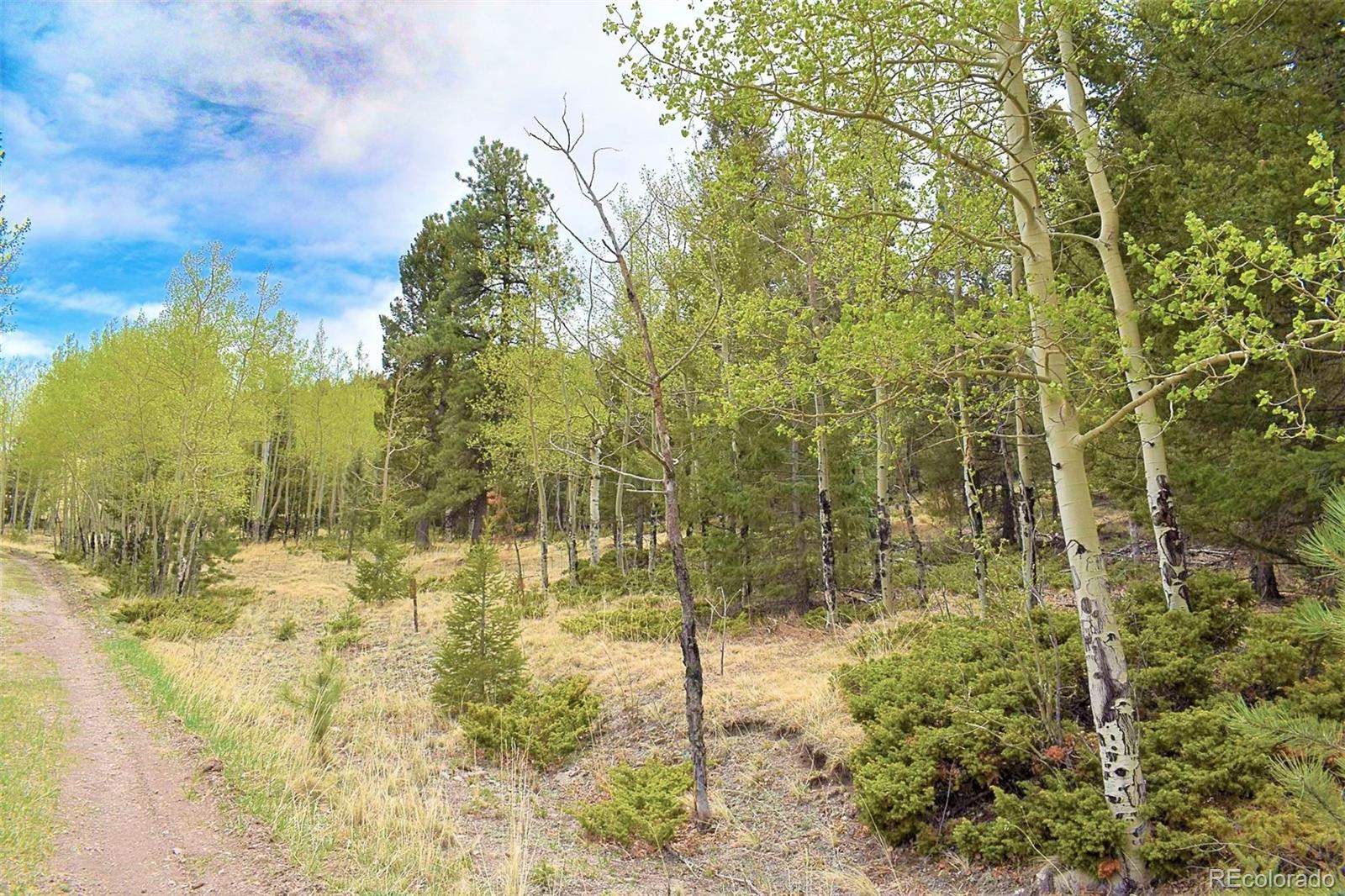 462-616 Cover Valley Road Guffey, CO 80820 - Photo 4 of 22 Gallery Image 4
