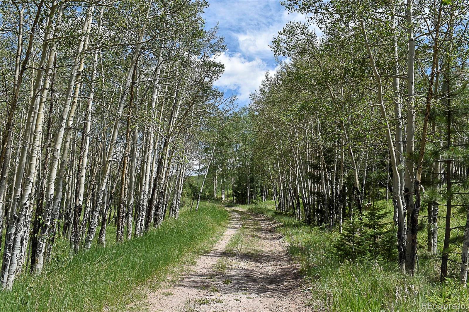 462-616 Cover Valley Road Guffey, CO 80820 - Photo 7 of 22 Gallery Image 7
