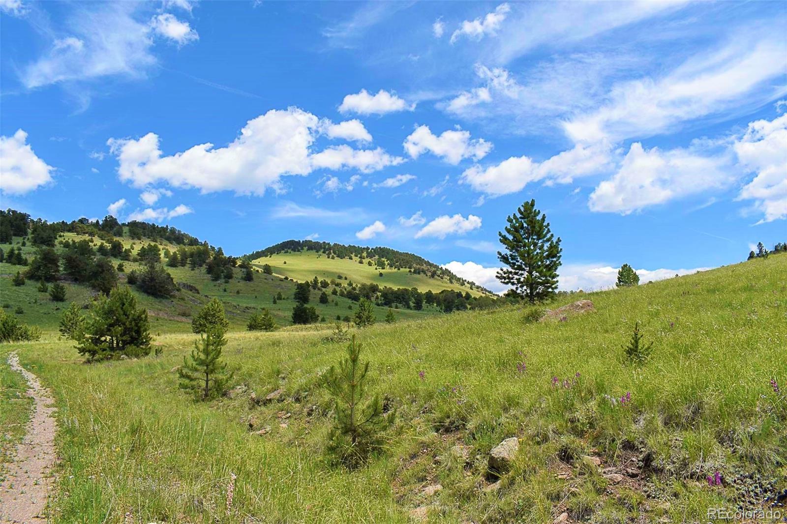 462-616 Cover Valley Road Guffey, CO 80820 - Photo 10 of 22 Gallery Image 10