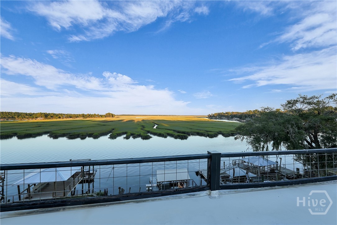 715 East 1st Street Midway, GA 31320 - Photo 38 of 42 Bird's Eye View from 4th Story Roof