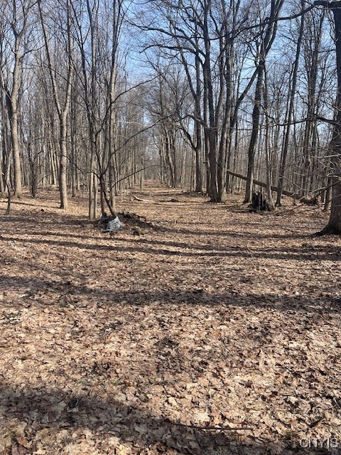 Harris Road Camillus, NY 13031 - Photo 11 of 13