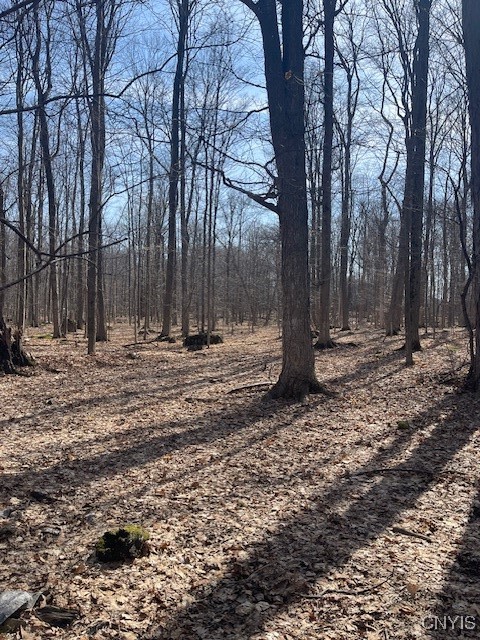 Harris Road Camillus, NY 13031 - Photo 12 of 13