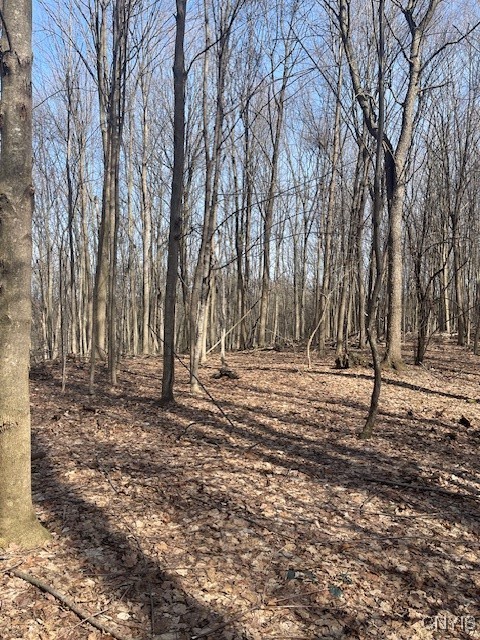 Harris Road Camillus, NY 13031 - Photo 3 of 13