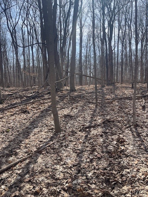 Harris Road Camillus, NY 13031 - Photo 4 of 13