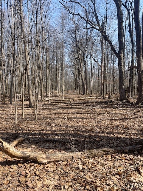 Harris Road Camillus, NY 13031 - Photo 5 of 13