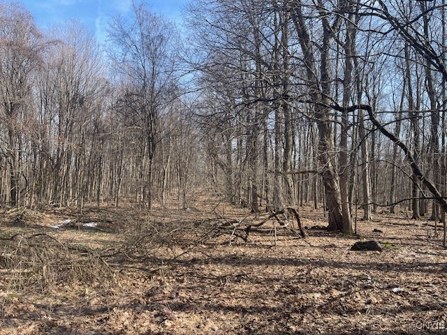 Harris Road Camillus, NY 13031 - Photo 6 of 13