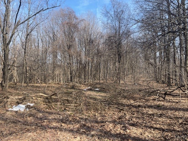 Harris Road Camillus, NY 13031 - Photo 7 of 13