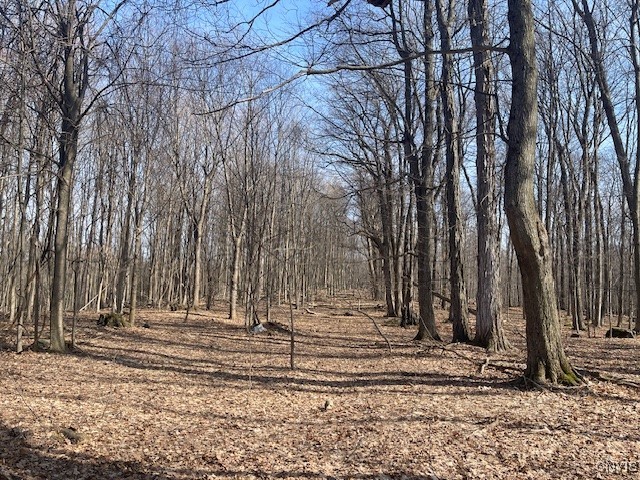 Harris Road Camillus, NY 13031 - Photo 8 of 13