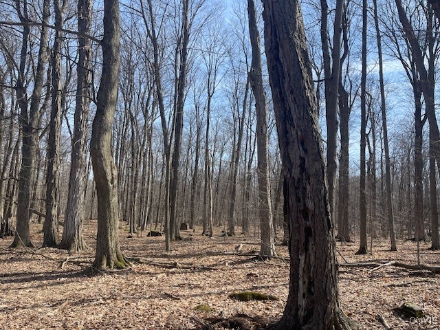 Harris Road Camillus, NY 13031 - Photo 9 of 13