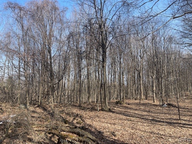 Harris Road Camillus, NY 13031 - Photo 10 of 13