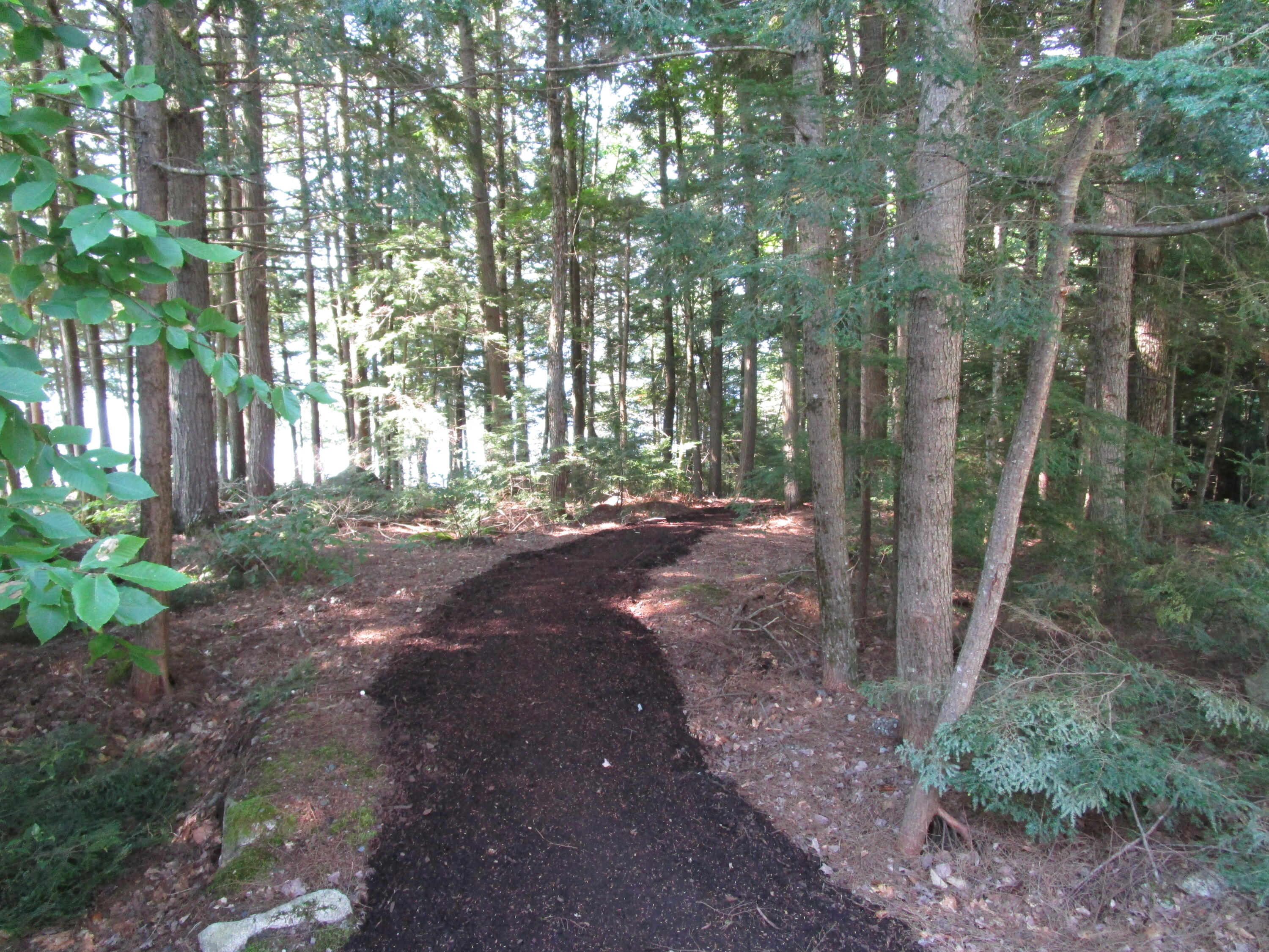 56 Coldstream Lane Lowell, ME 04493 - Photo 25 of 27 IMG_1170