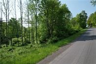 0 Cemetery Hill Road Oneonta, NY 13820 - Photo 2 of 6