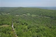 0 Cemetery Hill Road Oneonta, NY 13820 - Photo 4 of 6