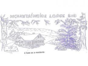 2577 River Road Arlington, VT 05250 - Photo 20 of 20 Gallery Image 20