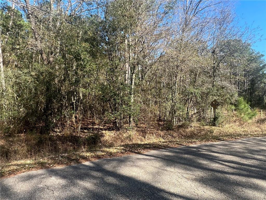 Lot B Wymer Road Covington, LA 70435 - Photo 1 of 3 Gallery Image 1