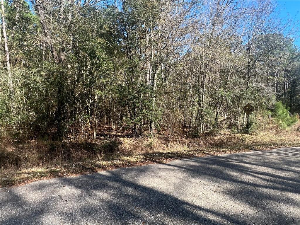 Lot B Wymer Road Covington, LA 70435 - Photo 2 of 3 Gallery Image 2