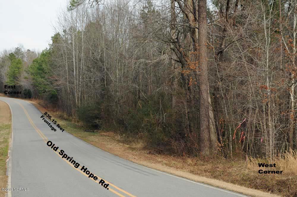 0 West Old Spring Hope Road Middlesex, NC 27557 - Photo 2 of 6 roy's1
