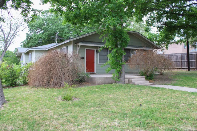 a view of a backyard with plants and large tree