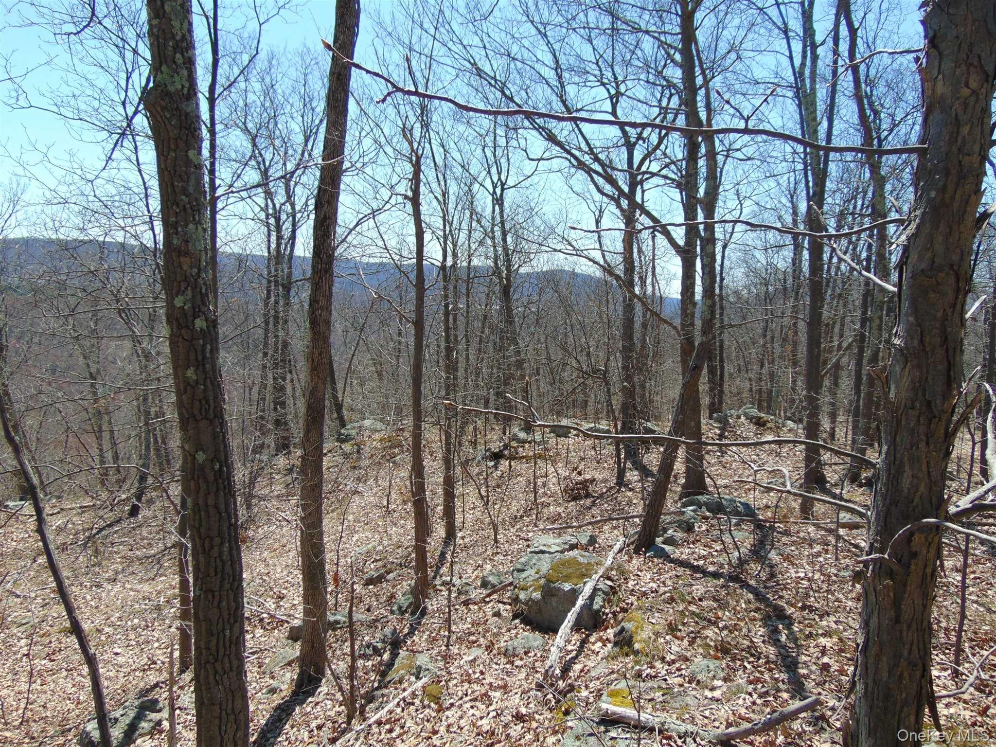 382 Cedar Hill Road Fishkill, NY 12524 - Photo 7 of 20