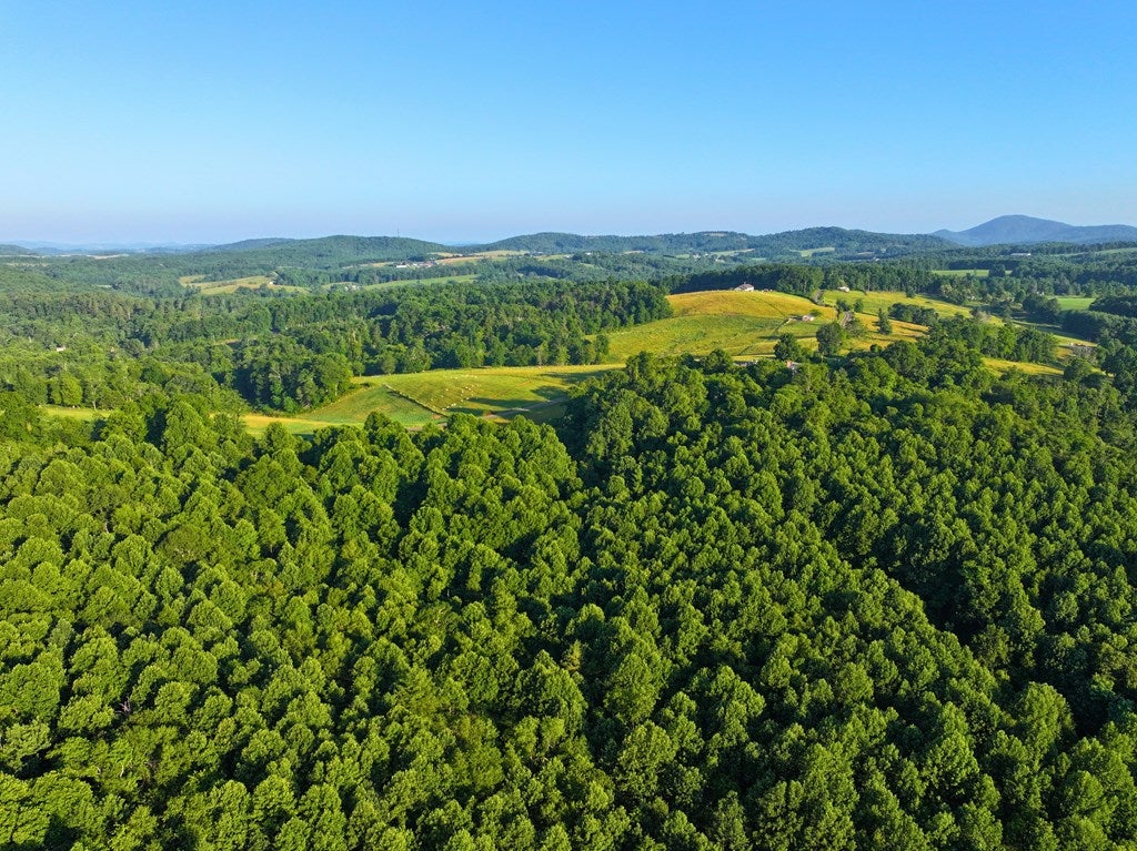 Tbd Bent Road Meadows Of Dan, VA 24120 - Photo 3 of 53 Gallery Image 3