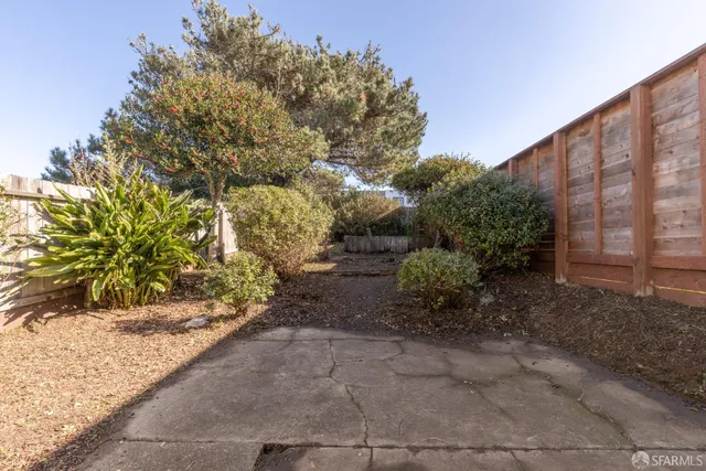 a view of a yard with plants and trees