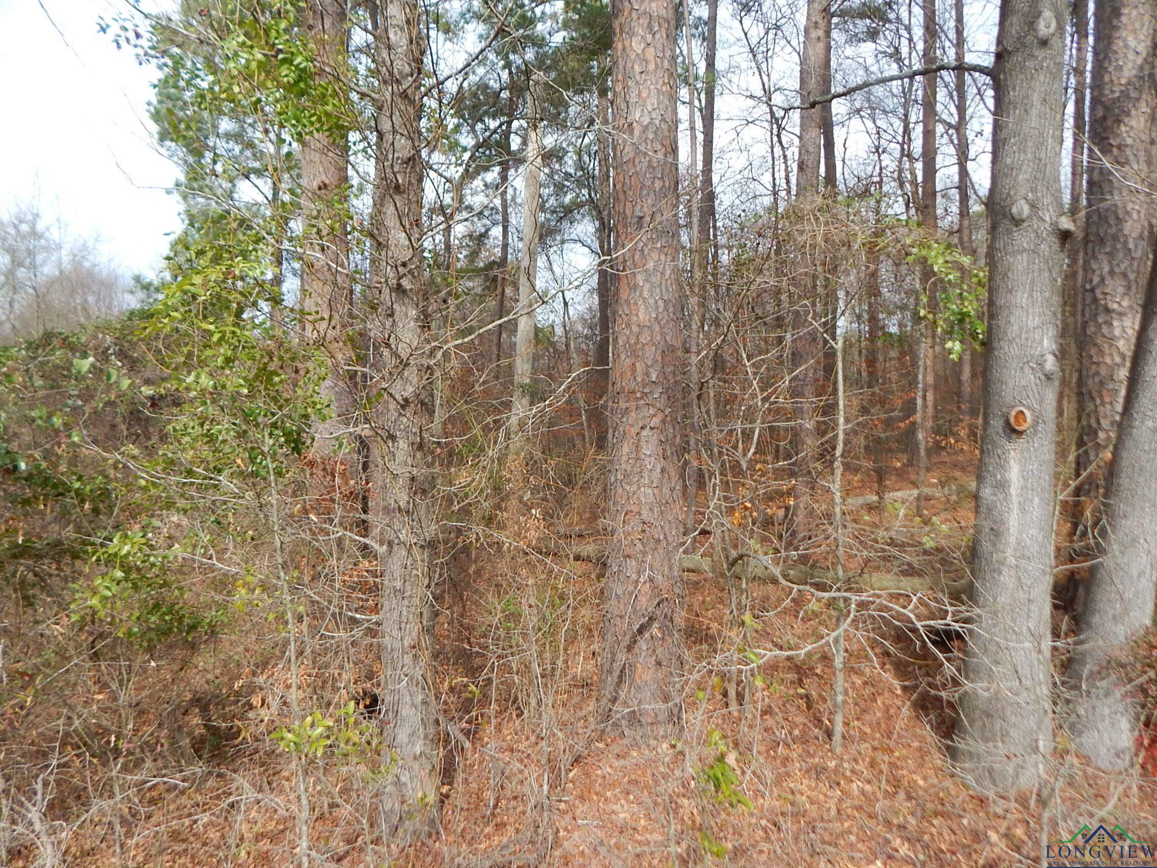 11.72 Acres George Richey Road White Oak, TX 75693 - Photo 13 of 17 Gallery Image 13