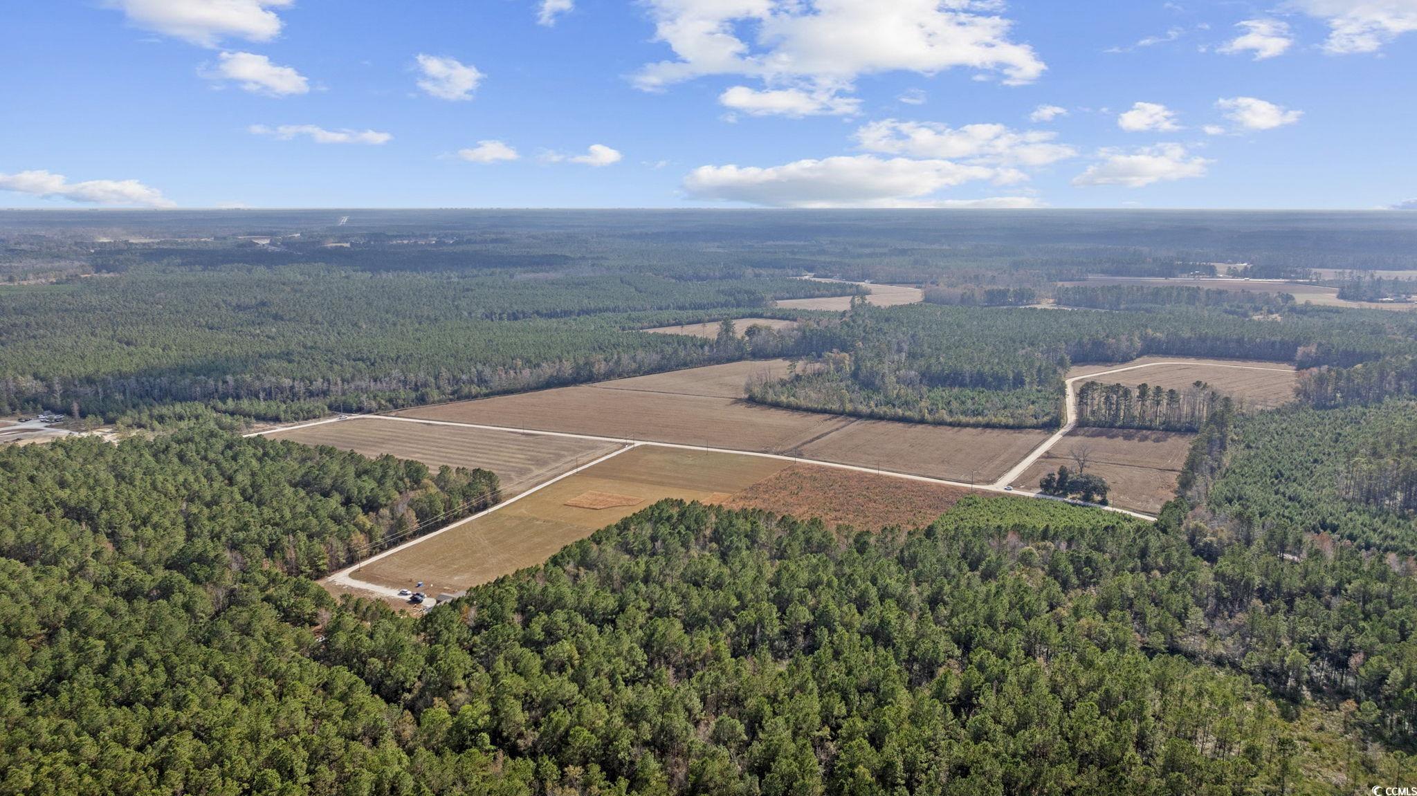 Lot 3 West G Road Conway, SC 29526 - Photo 4 of 21 Gallery Image 4