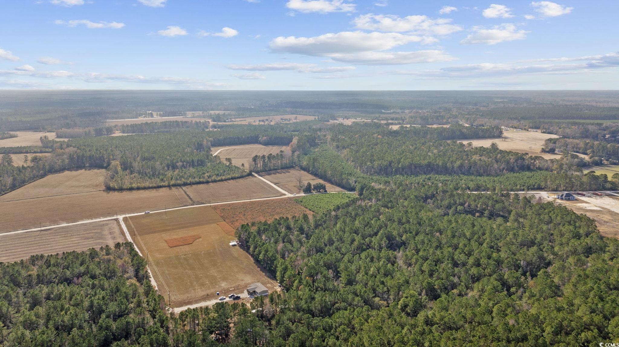 Lot 3 West G Road Conway, SC 29526 - Photo 5 of 21 Gallery Image 5