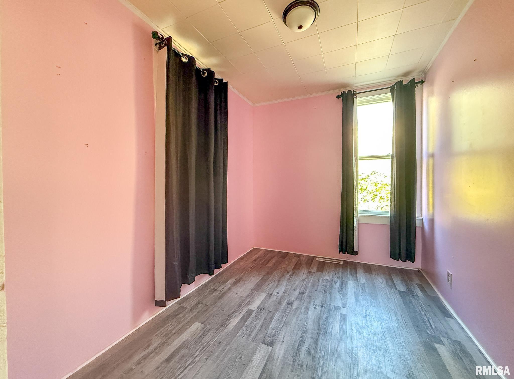 206 West Lower Street Abingdon, IL 61410 - Photo 4 of 12