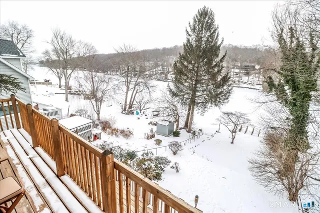 a view of a forest filled with snow