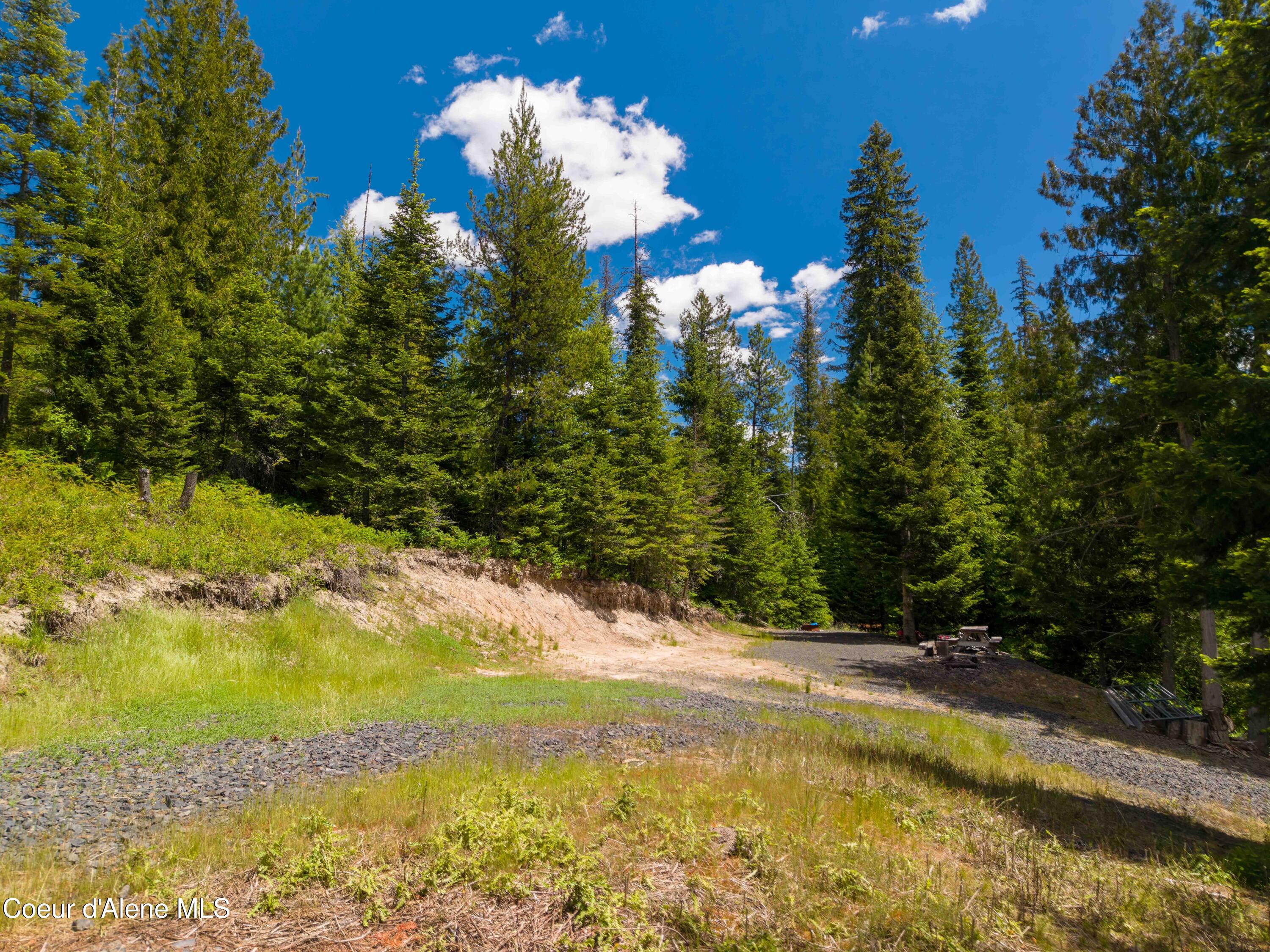 1314 Finn Creek Road Fernwood, ID 83830 - Photo 12 of 23 June 11 2026 (2 of 20)